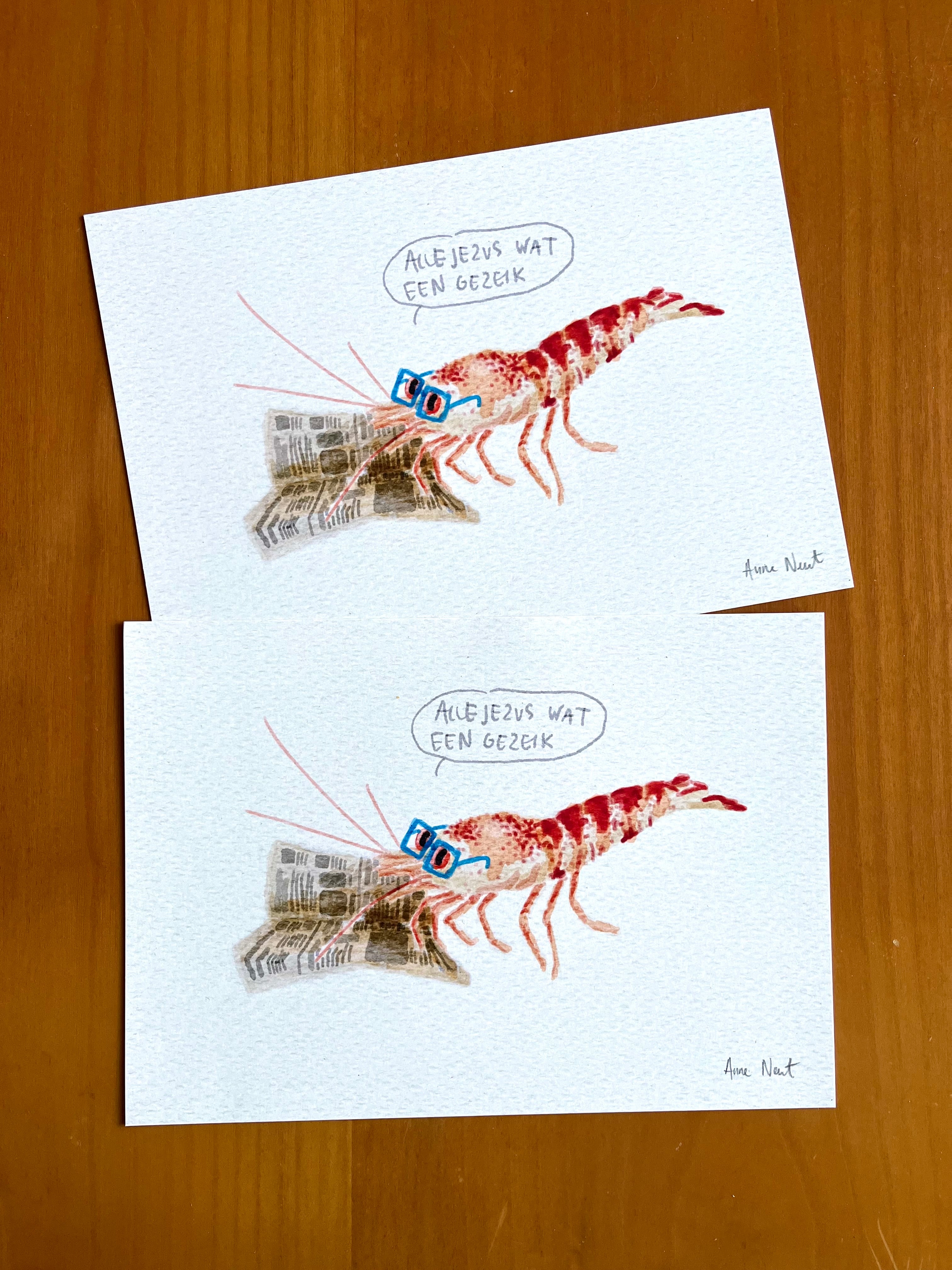Digitale aquarel tekening van een garnaal die de krant leest door Anne Neuteboom cabaretier Anne Neut Boetiek