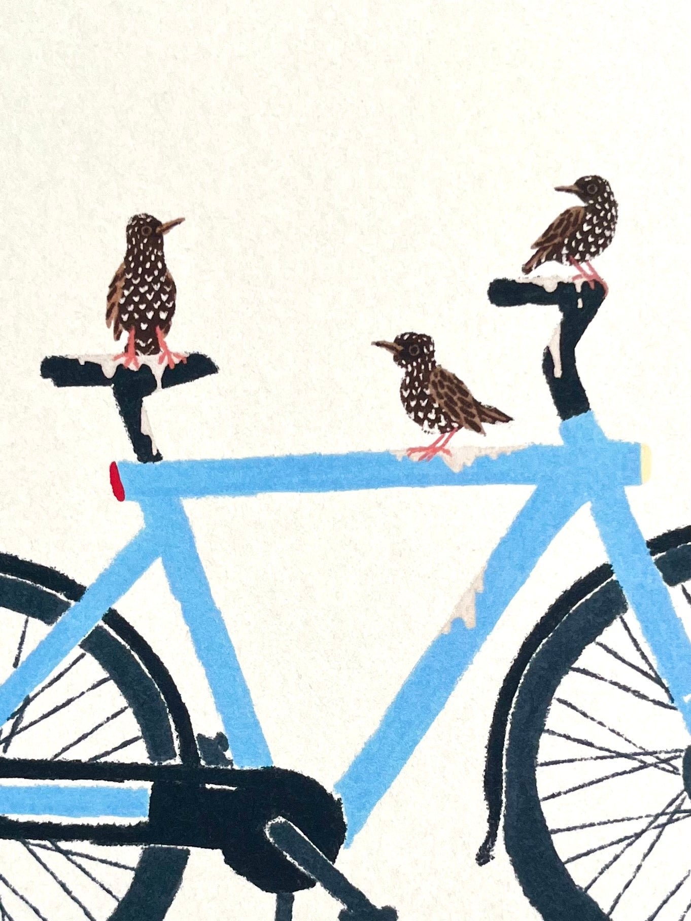 Illustratie van drie spreeuwen die elektrische fiets onder gepoept hebben door Anne Neuteboom cabaretier Anne Neut Boetiek