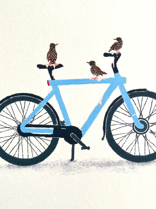 Illustratie van drie spreeuwen die elektrische fiets onder gepoept hebben door Anne Neuteboom cabaretier Anne Neut Boetiek