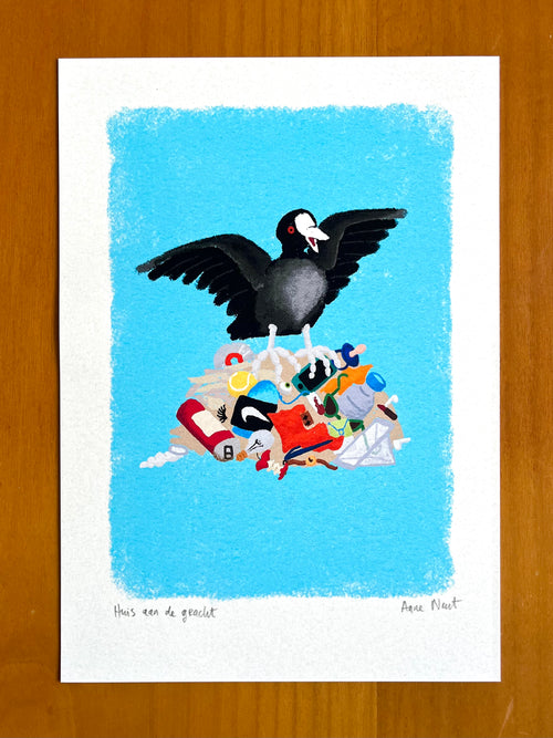 Fine art print van tekening van meerkoet op vuilnisnest door Anne Neuteboom cabaretier Anne Neut Boetiek