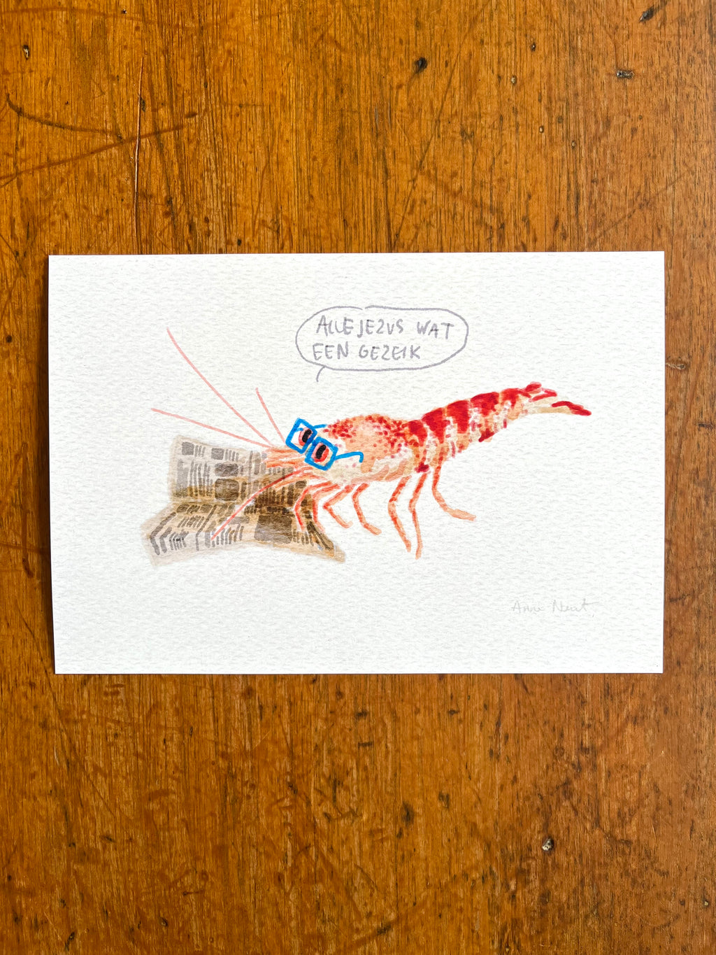 Digitale aquarel tekening van een garnaal die de krant leest door Anne Neuteboom cabaretier Anne Neut Boetiek