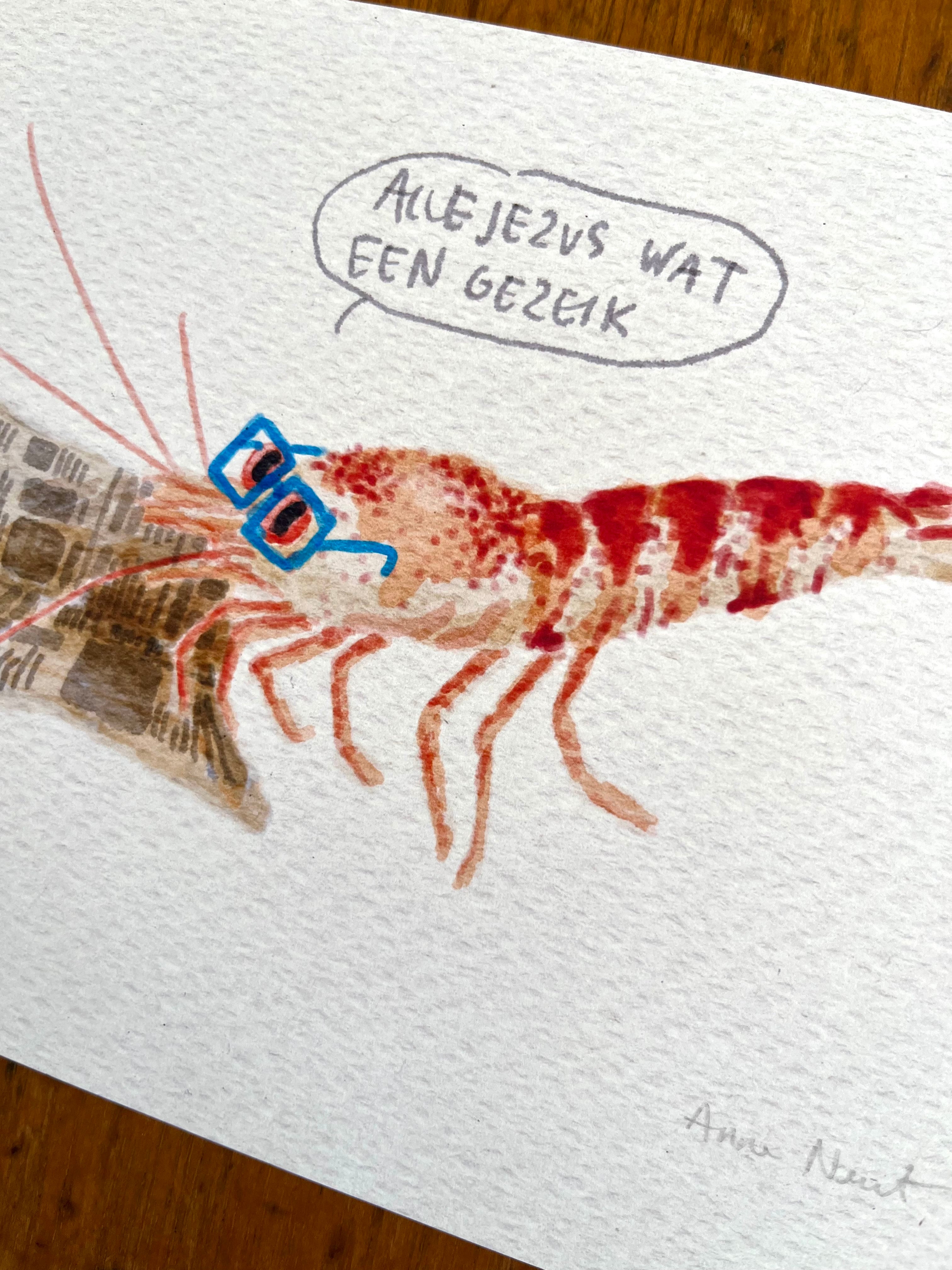 Digitale aquarel tekening van een garnaal die de krant leest door Anne Neuteboom cabaretier Anne Neut Boetiek