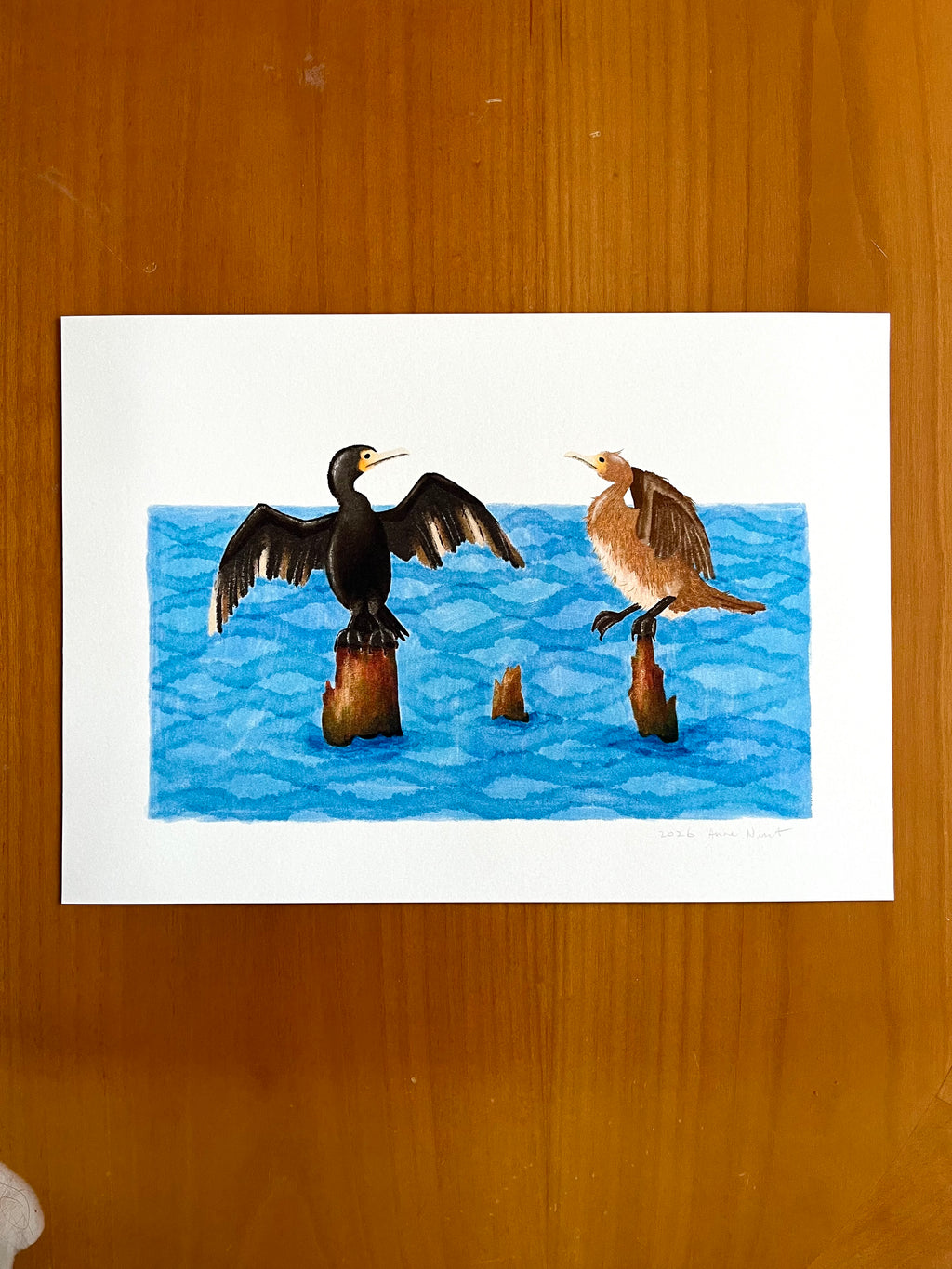 Tekening van twee aalscholvers op boomstronken in het water door Anne Neuteboom cabaretier Anne Neut Boetiek