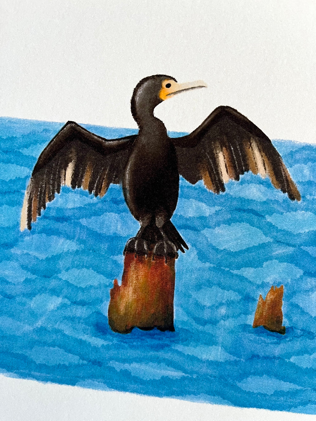 Tekening van twee aalscholvers op boomstronken in het water door Anne Neuteboom cabaretier Anne Neut Boetiek