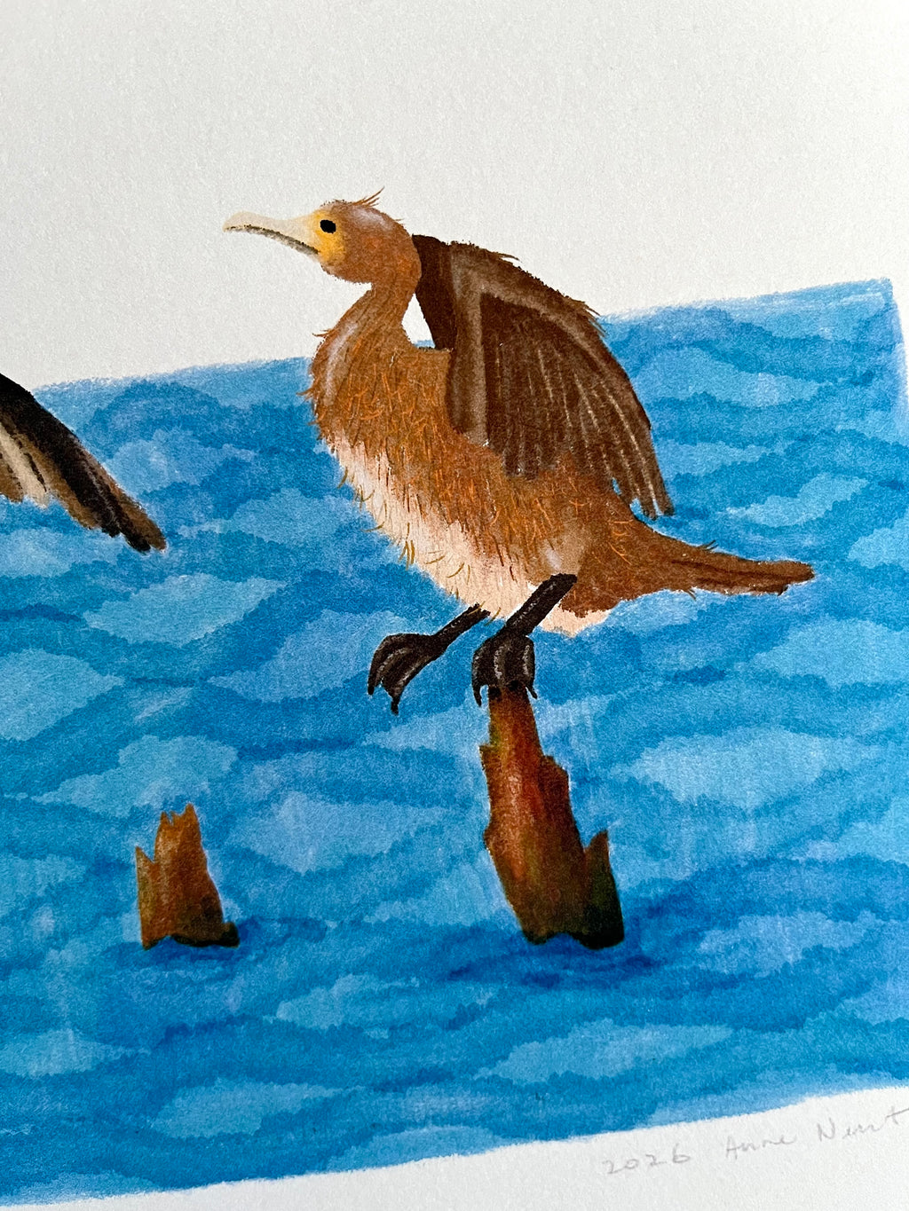 Tekening van twee aalscholvers op boomstronken in het water door Anne Neuteboom cabaretier Anne Neut Boetiek