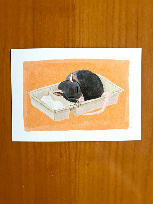 Tekening van een ratje dat ligt te slapen in een frietbakje door Anne Neuteboom cabaretier Anne Neut Boetiek