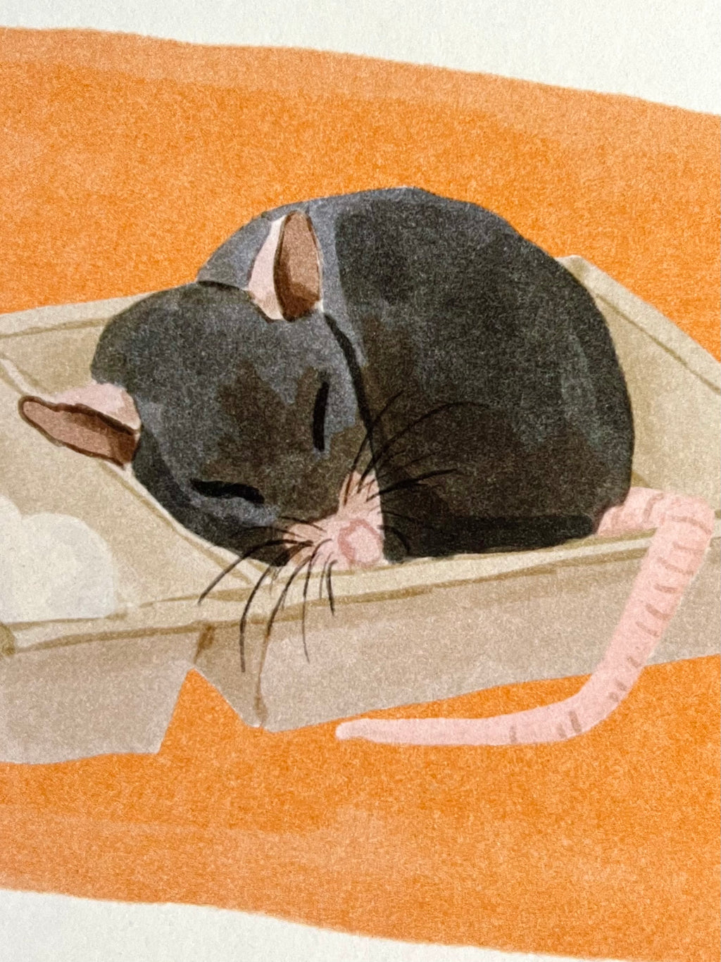 Tekening van een ratje dat ligt te slapen in een frietbakje door Anne Neuteboom cabaretier Anne Neut Boetiek