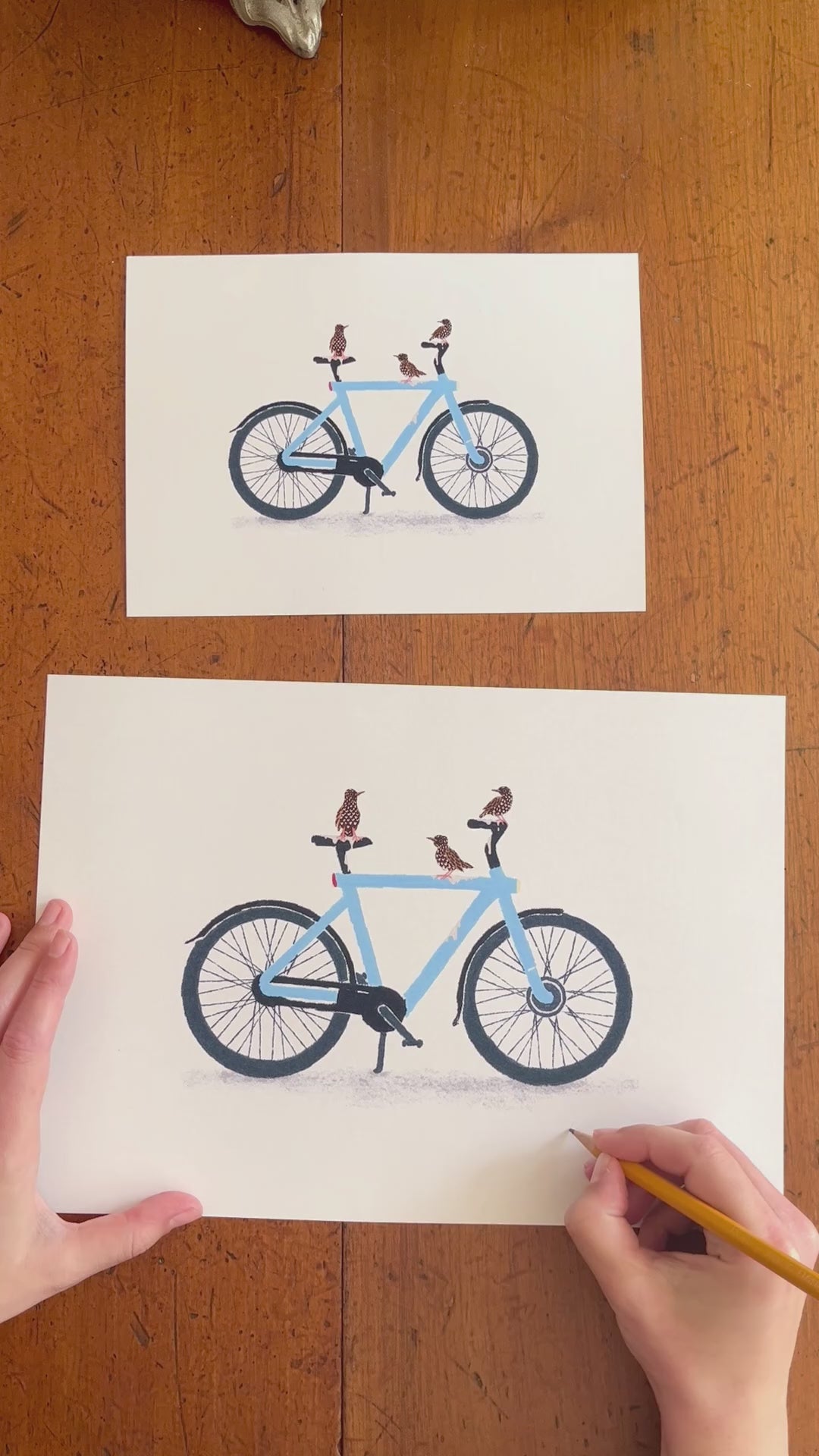 Illustratie van drie spreeuwen die elektrische fiets onder gepoept hebben door Anne Neuteboom cabaretier Anne Neut Boetiek