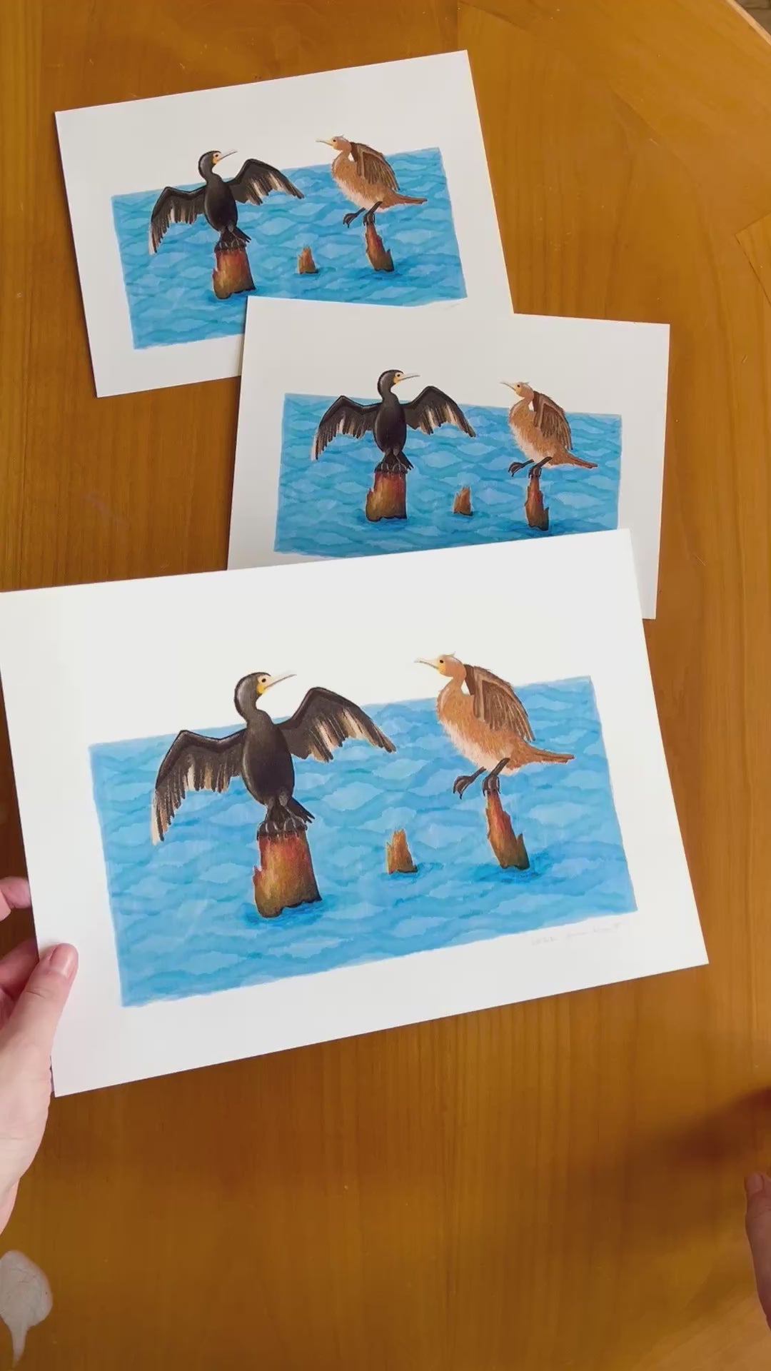 Tekening van twee aalscholvers op boomstronken in het water door Anne Neuteboom cabaretier Anne Neut Boetiek