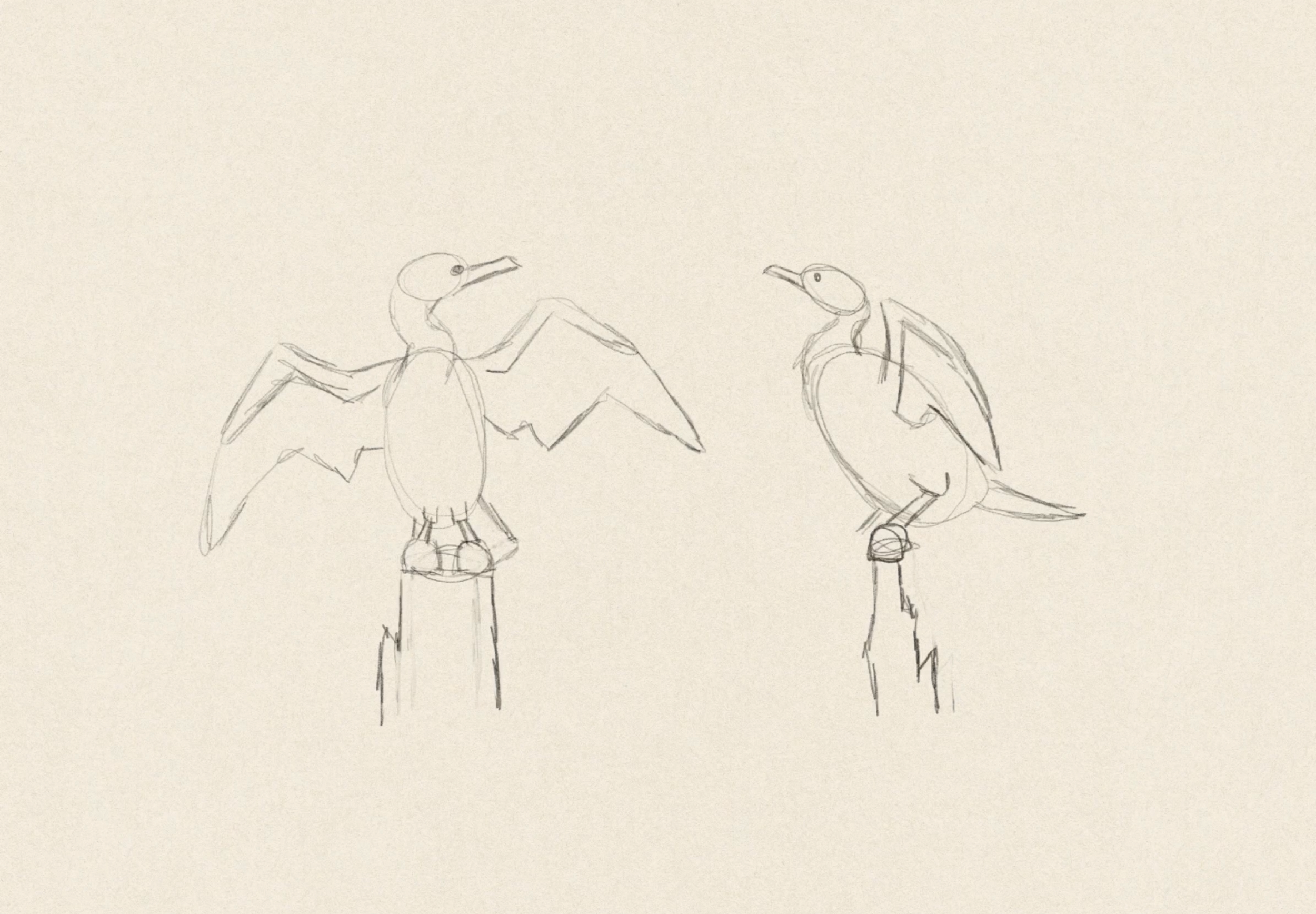 Tekening van twee aalscholvers op boomstronken in het water door Anne Neuteboom cabaretier Anne Neut Boetiek